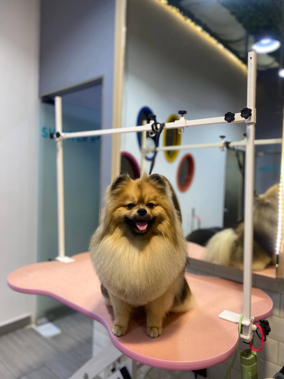 1:30 — Enough for up to 100 pets