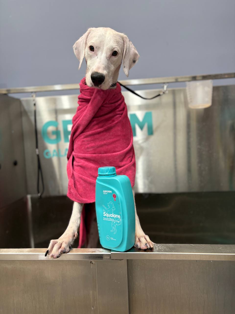 Restores the coat, leaving it smooth and protecting it from damage