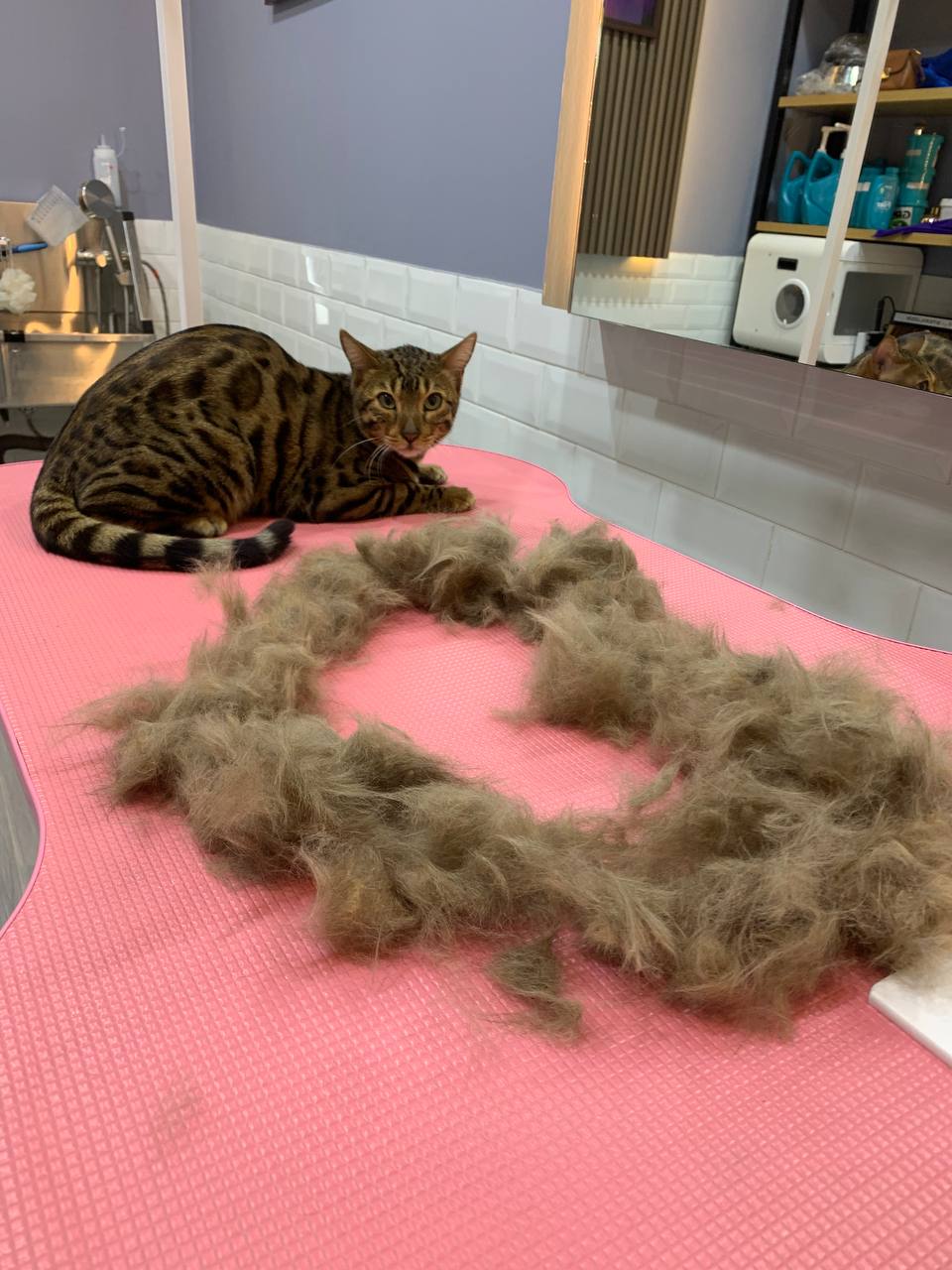 Makes styling and brushing easier
