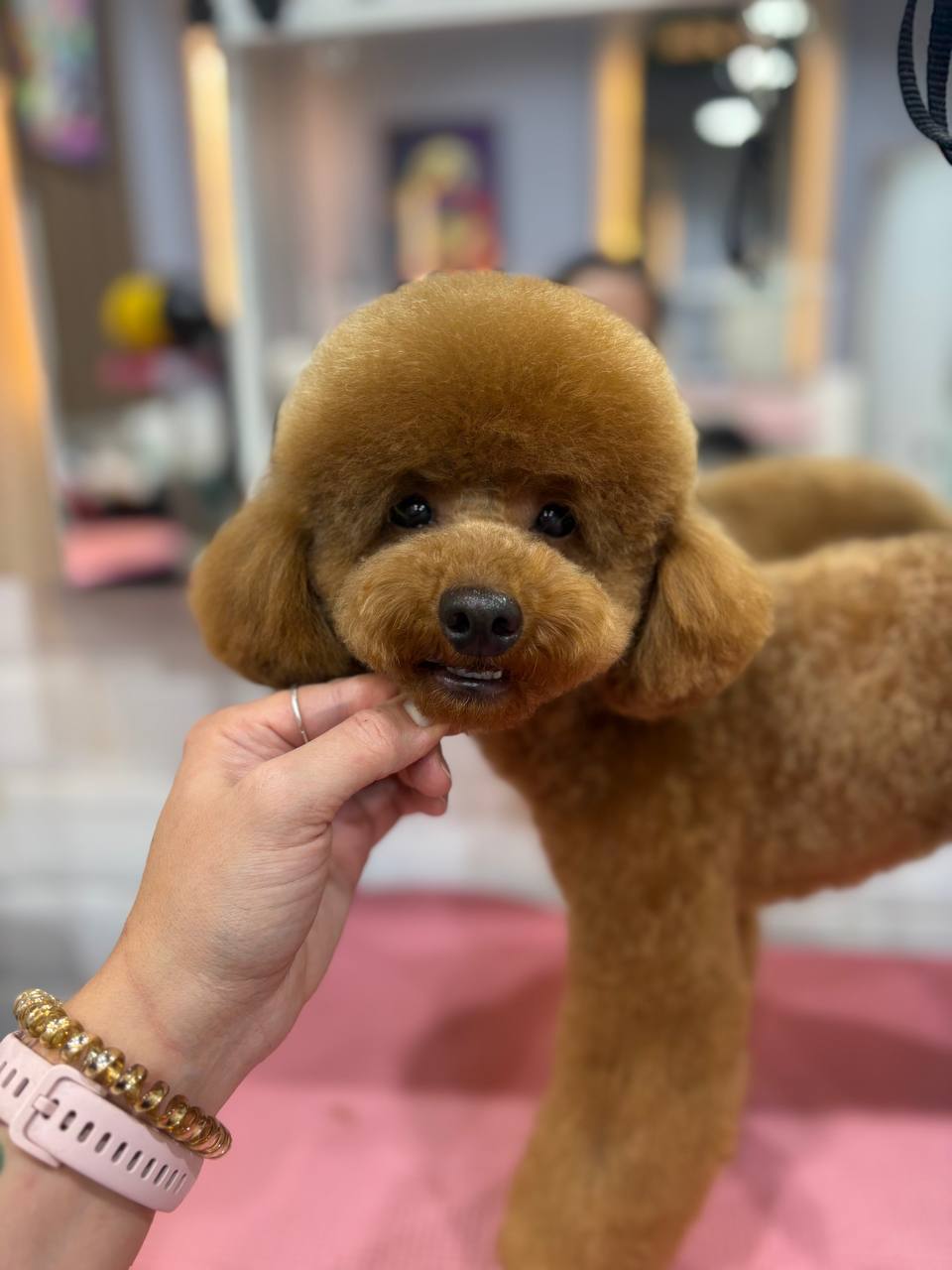 1:30 — Enough for up to 100 pets