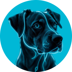 Dogs Galaxy product line logo
