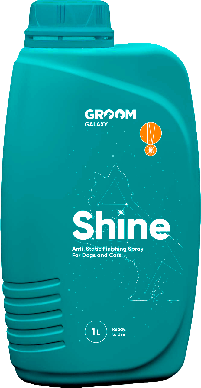 Shine